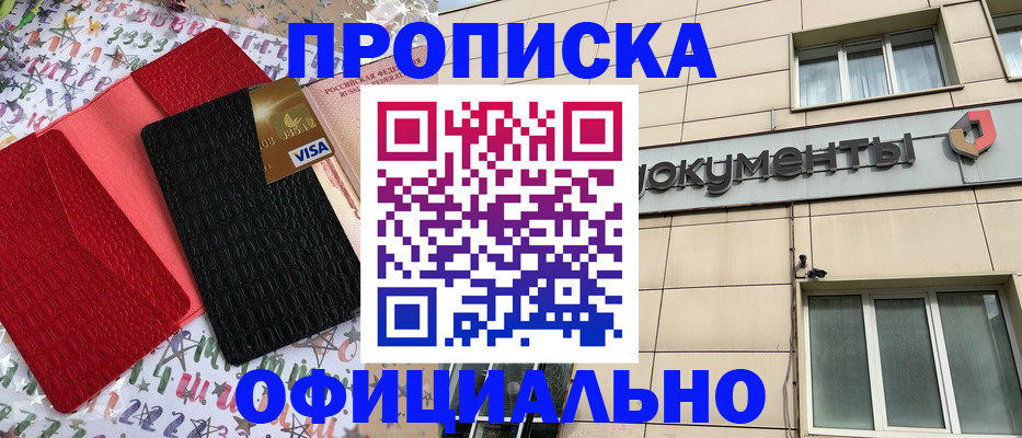 прописка гарантия в Кингисеппе